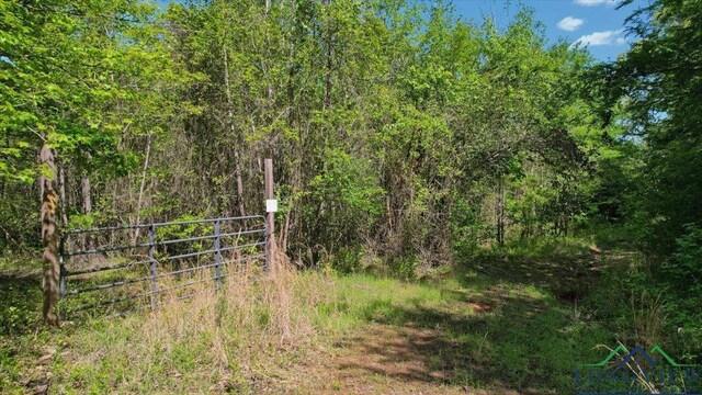 TBD County Road 1143, Daingerfield, TX 75638 - photo 7