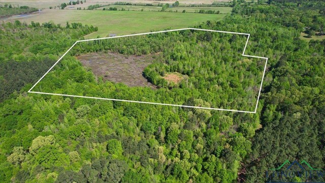 TBD County Road 1143, Daingerfield, TX 75638 - photo 1