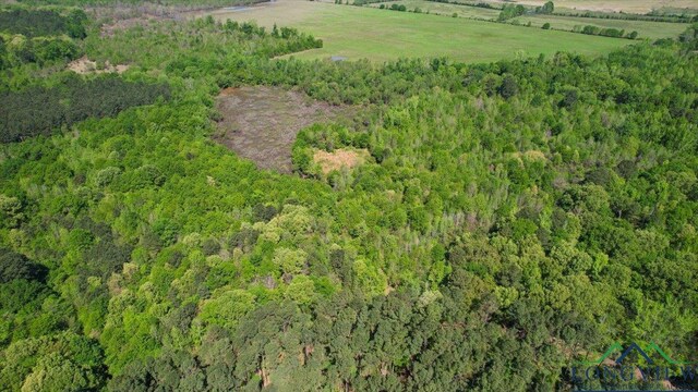 TBD County Road 1143, Daingerfield, TX 75638 - photo 13