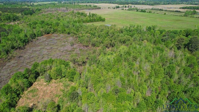 TBD County Road 1143, Daingerfield, TX 75638 - photo 11