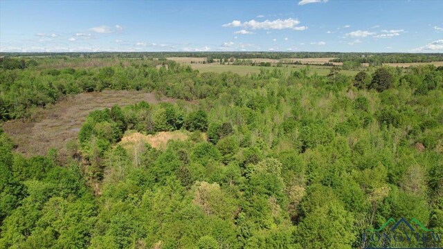 TBD County Road 1143, Daingerfield, TX 75638 - photo 12