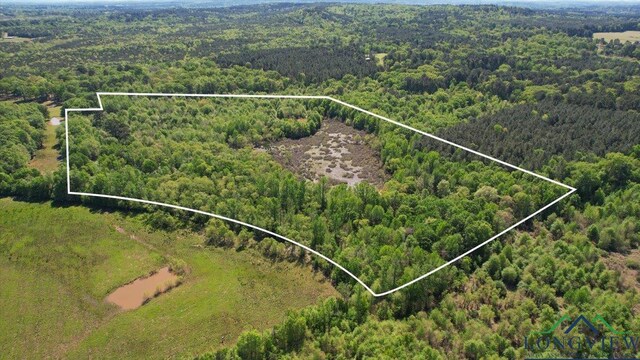 TBD County Road 1143, Daingerfield, TX 75638 - photo 5