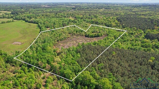 TBD County Road 1143, Daingerfield, TX 75638 - photo 3