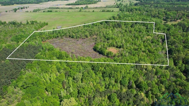 TBD County Road 1143, Daingerfield, TX 75638 - photo 2