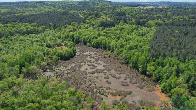 TBD County Road 1143, Daingerfield, TX 75638 - photo 8