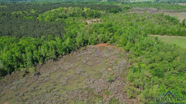 TBD County Road 1143, Daingerfield, TX 75638 - photo 10