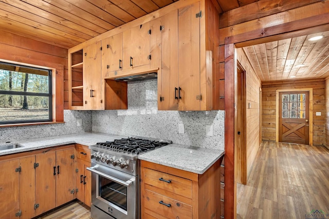 kitchen with light wood-type flooring, tasteful backsplash, light stone counters, and high end stove