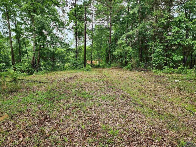 TBD Wild Daisy Rd, Ore City, TX 75683