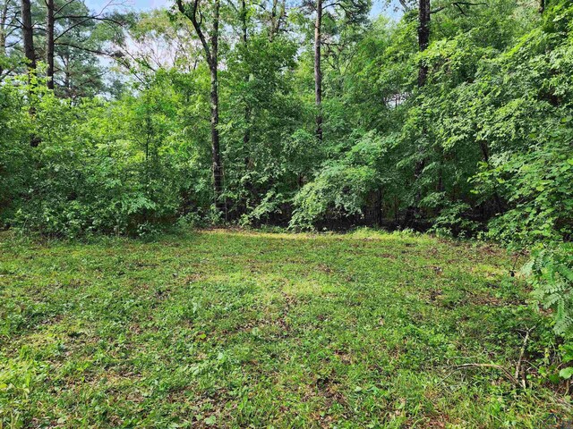 TBD Wild Daisy Rd, Ore City, TX 75683