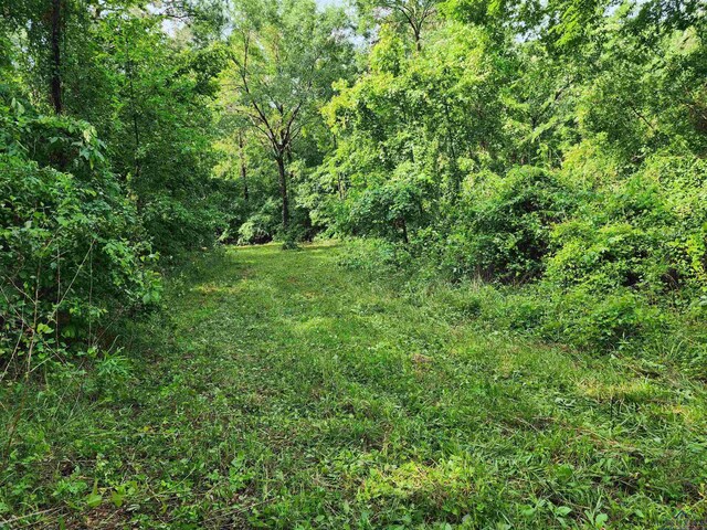 TBD Wild Daisy Rd, Ore City, TX 75683