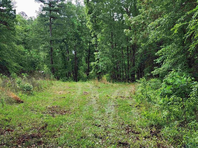 TBD Wild Daisy Rd, Ore City, TX 75683