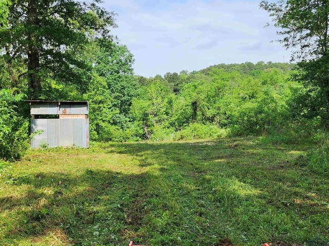 TBD Wild Daisy Rd, Ore City, TX 75683