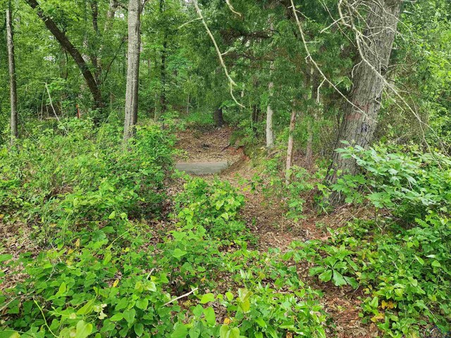 TBD Wild Daisy Rd, Ore City, TX 75683