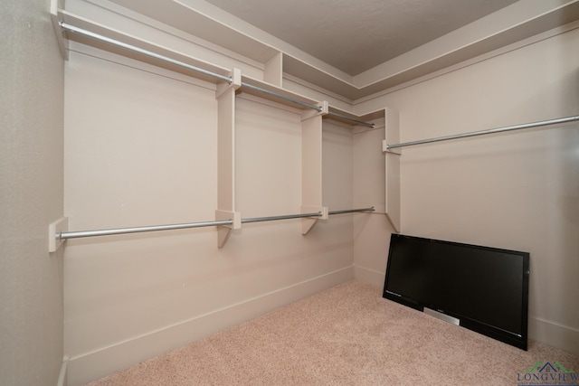 spacious closet featuring light carpet