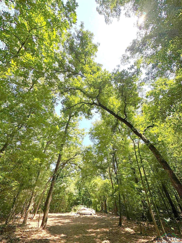 0000 Fm 161, Hughes Springs, TX 75656 - photo 11