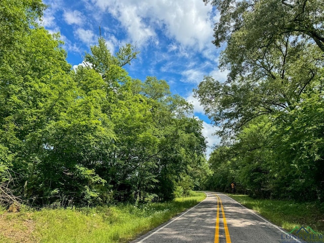 0000 Fm 161, Hughes Springs, TX 75656 - photo 20