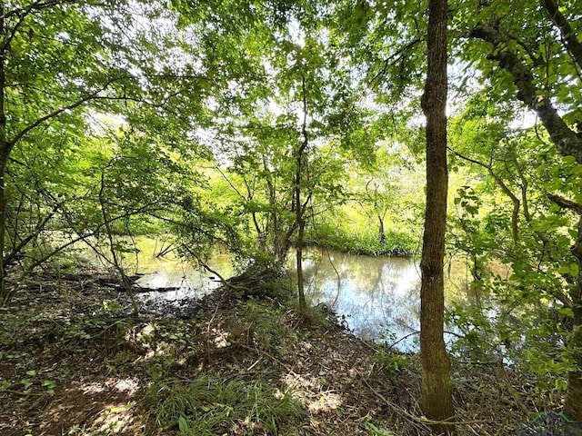 0000 Fm 161, Hughes Springs, TX 75656 - photo 19