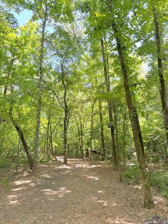 0000 Fm 161, Hughes Springs, TX 75656 - photo 15