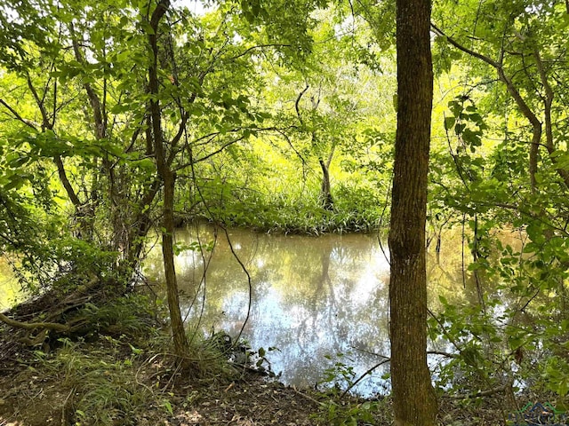 0000 Fm 161, Hughes Springs, TX 75656 - photo 18