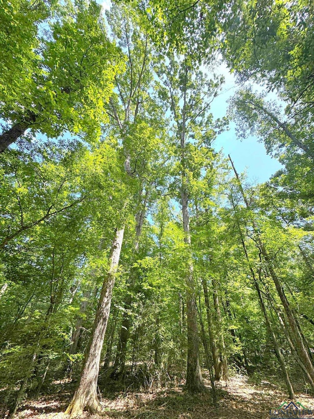 0000 Fm 161, Hughes Springs, TX 75656 - photo 12