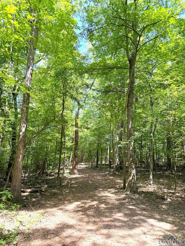 0000 Fm 161, Hughes Springs, TX 75656 - photo 10