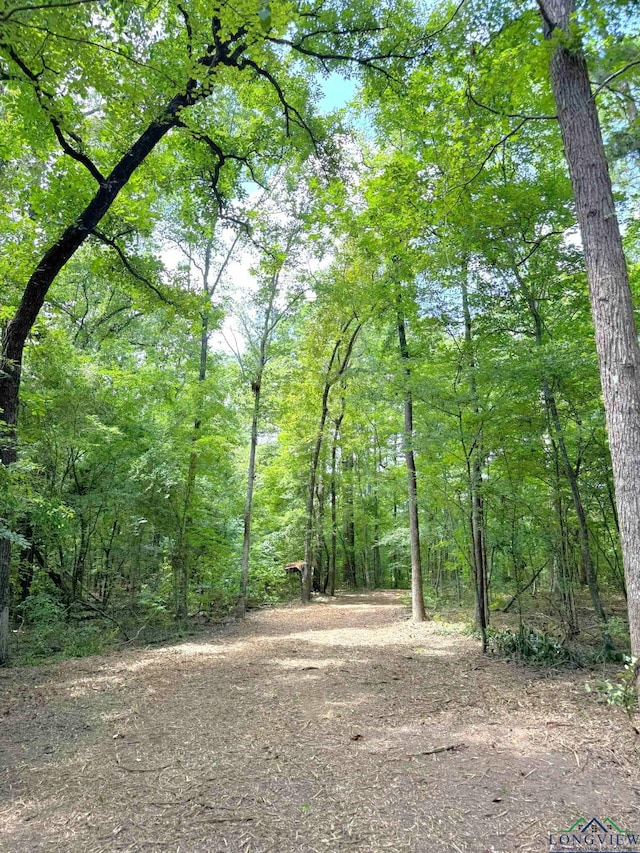 0000 Fm 161, Hughes Springs, TX 75656 - photo 16