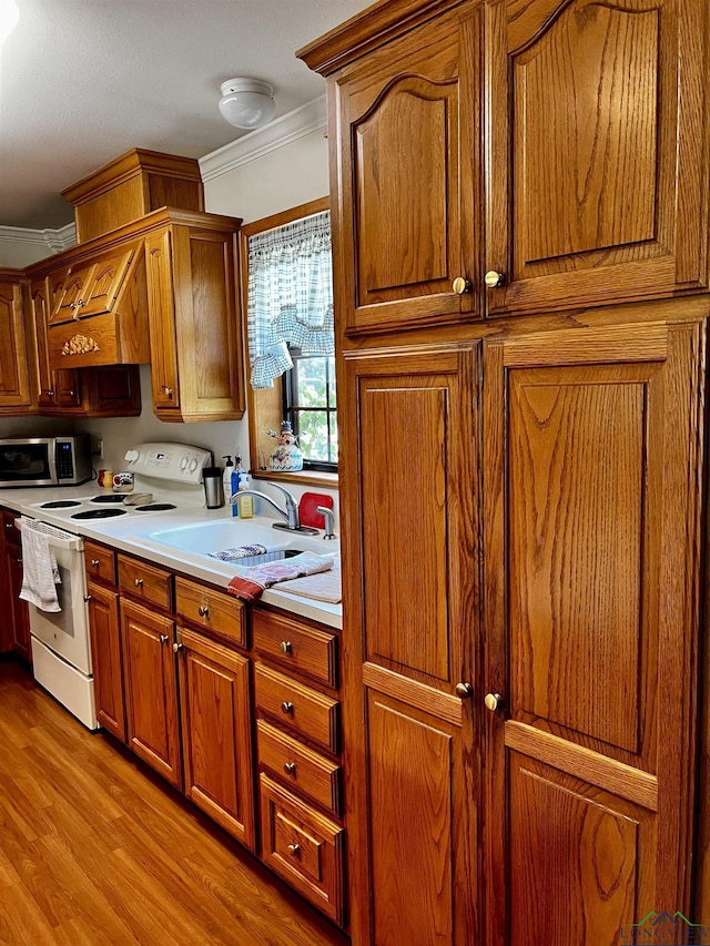 kitchen featuring white range, light hardwood / wood-style flooring, ornamental molding, and sink