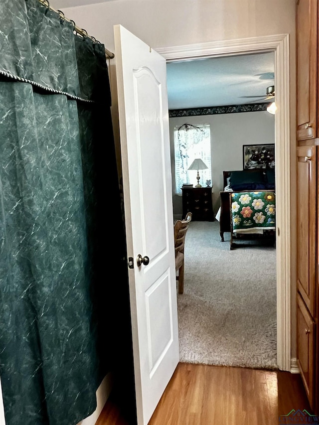 bathroom featuring hardwood / wood-style flooring