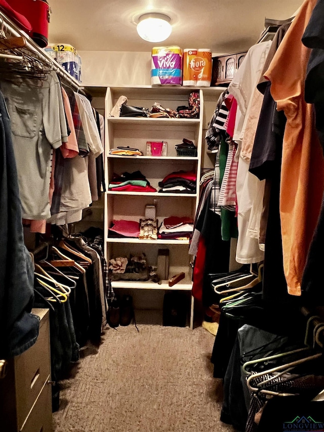 spacious closet featuring carpet flooring