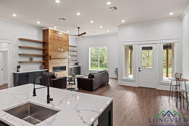 kitchen with ceiling fan, light stone counters, ornamental molding, and sink