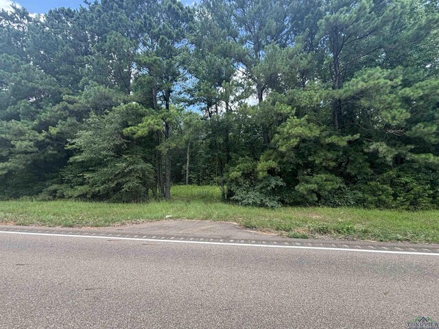 TBDCR3889 Fm 3129 7, Queen City, TX 75572 - photo 4