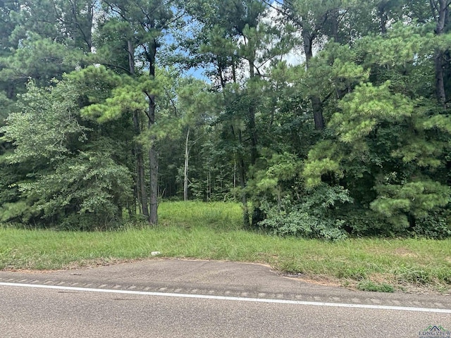 TBDCR3889 Fm 3129 7, Queen City, TX 75572 - photo 2