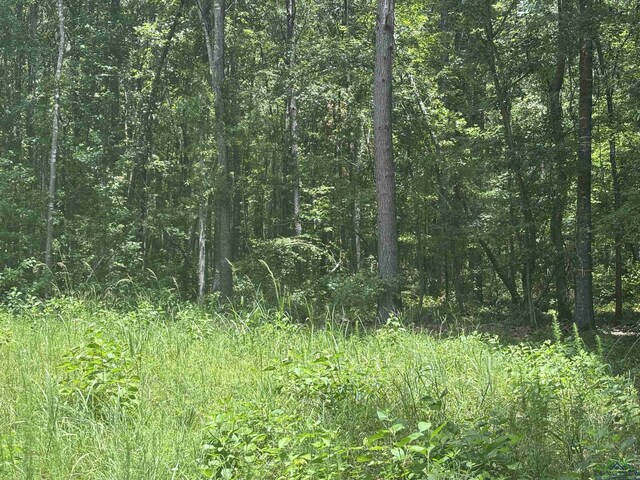 TBDCR3889 Fm 3129 7, Queen City, TX 75572 - photo 3