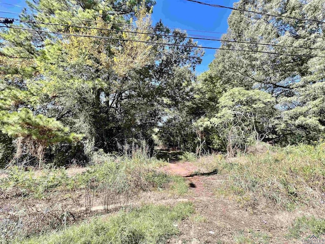 Listing photo 3 for TBD Carpenter St, Daingerfield TX 75638