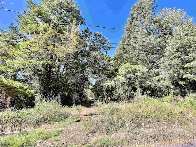 TBD Carpenter St, Daingerfield, TX 75638 - photo 4