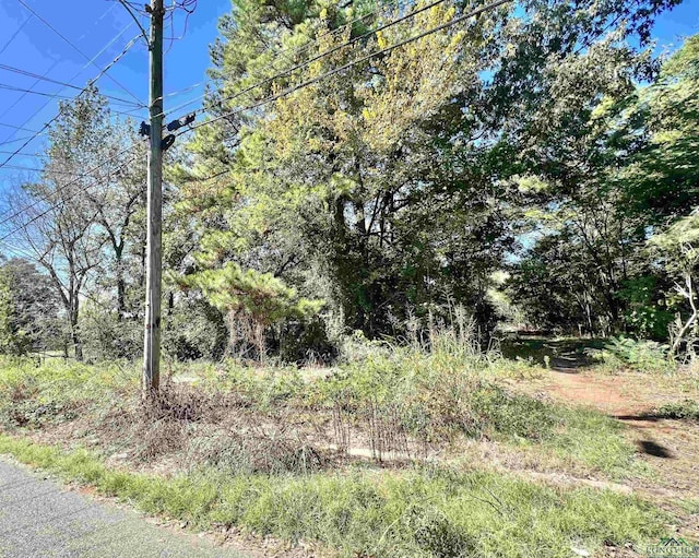 Listing photo 2 for TBD Carpenter St, Daingerfield TX 75638