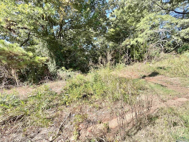 TBD Carpenter St, Daingerfield, TX 75638 - photo 7