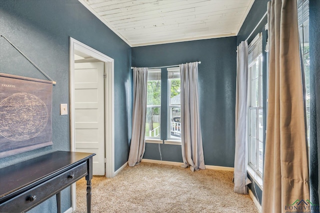 280 S Stonewall St, Tatum, TX 75691 - unfurnished office with carpet, wood ceiling, and baseboards