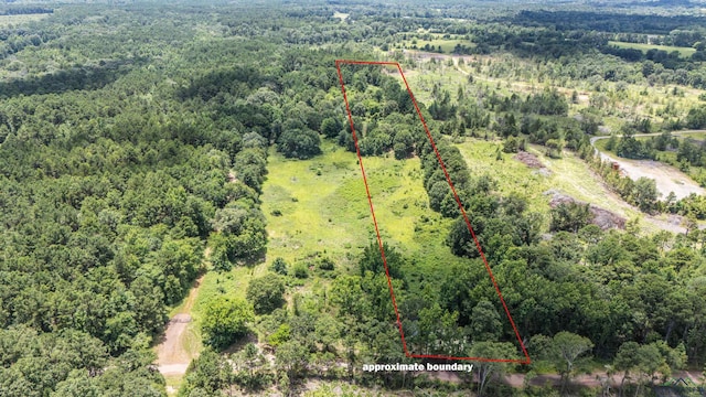 TBD2 County Road 2185, Tatum, TX 75691 - photo 1