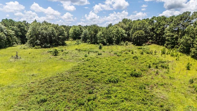 TBD2 County Road 2185, Tatum, TX 75691 - photo 8