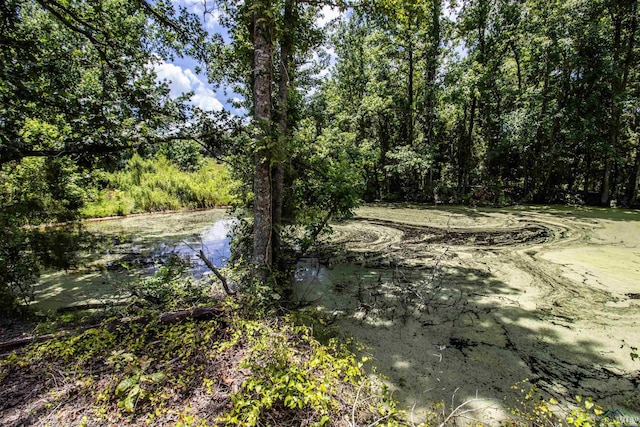 TBD2 County Road 2185, Tatum, TX 75691 - photo 5