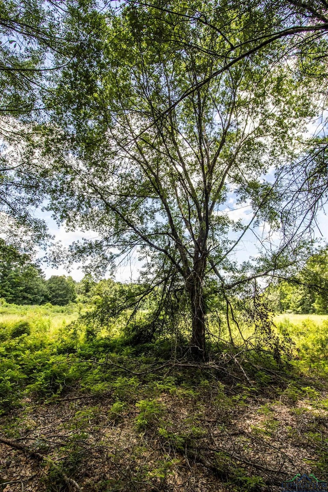 TBD2 County Road 2185, Tatum, TX 75691 - photo 7