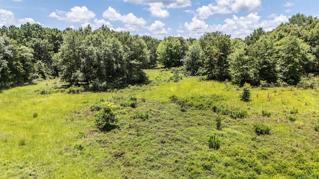 TBD2 County Road 2185, Tatum, TX 75691 - photo 9