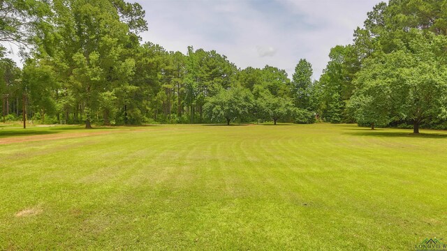 4368 Old Town Rd, Marshall, TX 75672 - photo 24