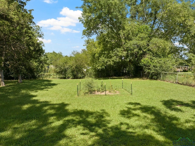 101 Martin St, Naples, TX 75568 - photo 10