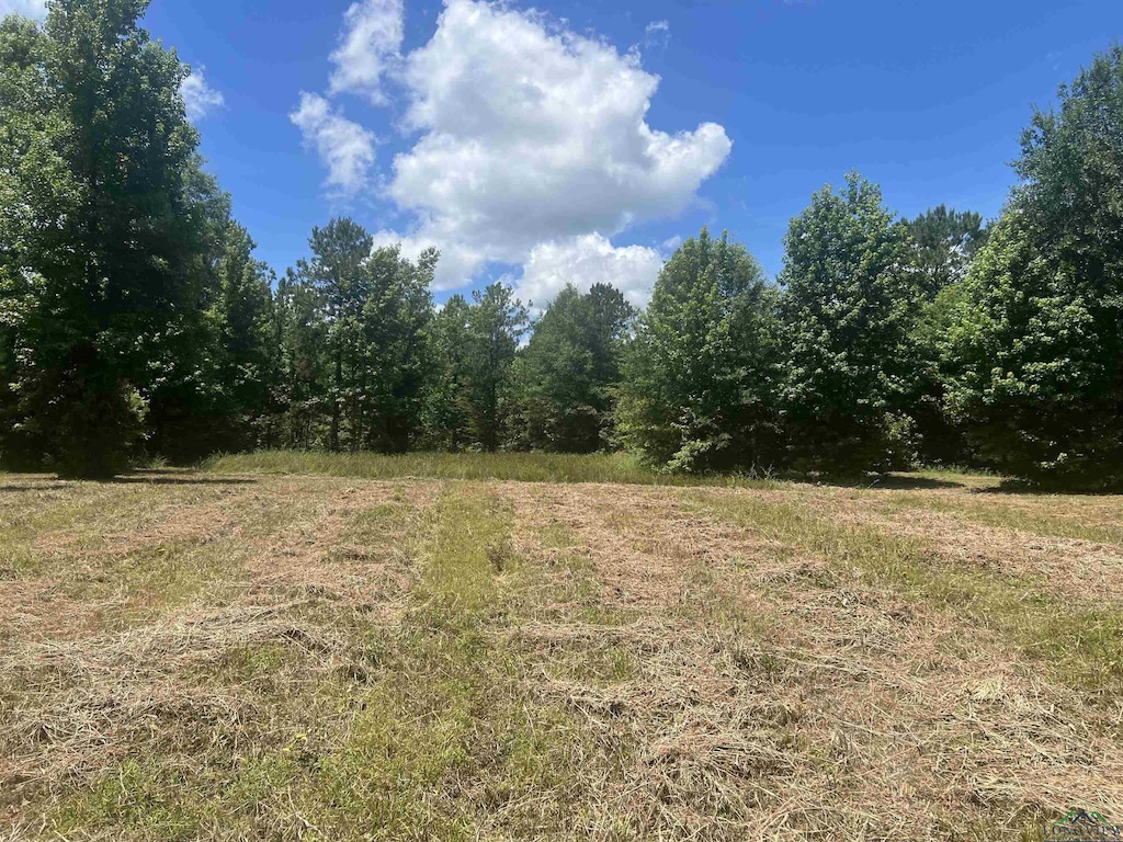 TBD Fm 134, Karnack, TX 75661 - photo 1