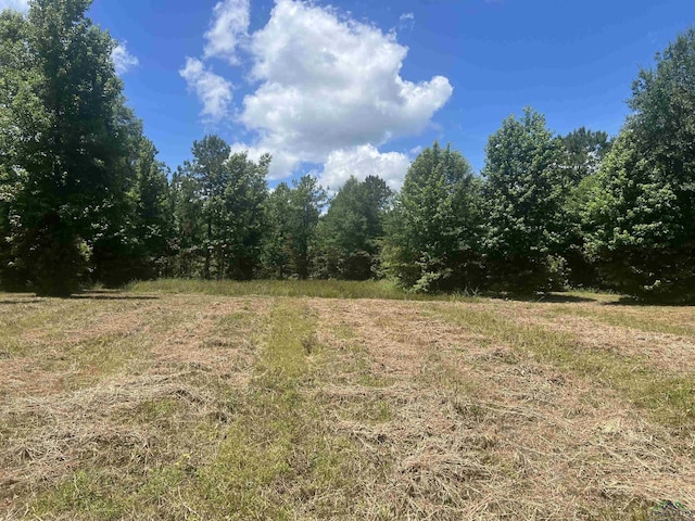 TBD Fm 134, Karnack, TX 75661 - photo 1