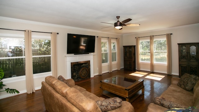 living room featuring a tiled fireplace, ornamental molding, a ceiling fan, and wood finished floors