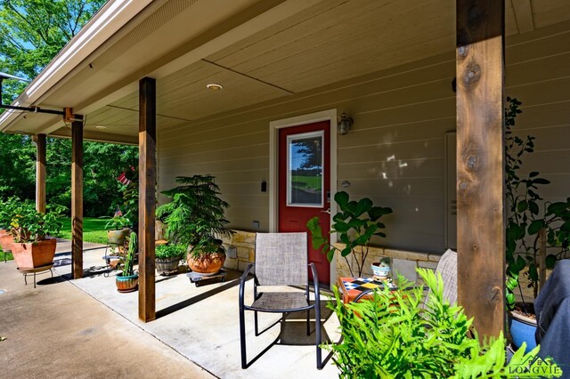 321 An County Road 376, Palestine, TX 75801 - photo 5