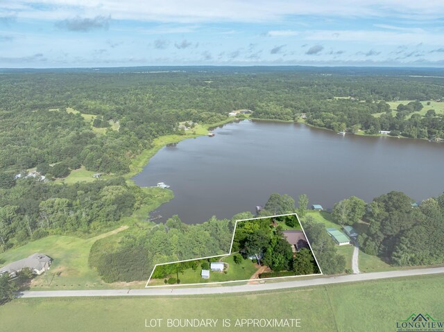 321 An County Road 376, Palestine, TX 75801 - photo 46